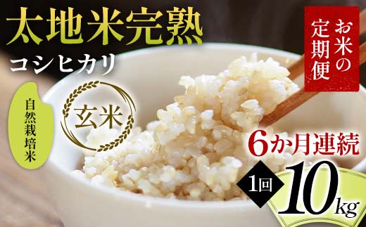 お米の定期便 自然栽培米 太地米完熟 【こしひかり】 玄米1