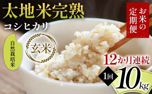 【先行予約】お米の定期便 自然栽培米 太地米完熟 【こし