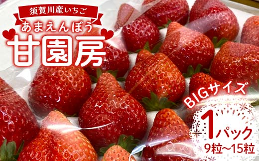 須賀川産いちご「甘園房～あまえんぼう～」BIGサイズ 1パッ