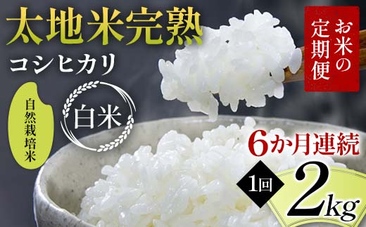 お米の定期便 自然栽培米 太地米完熟 【こしひかり】 白米2