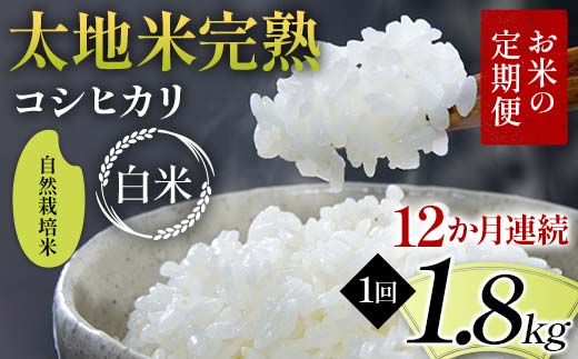 【先行予約】お米の定期便 自然栽培米 太地米完熟 【こし