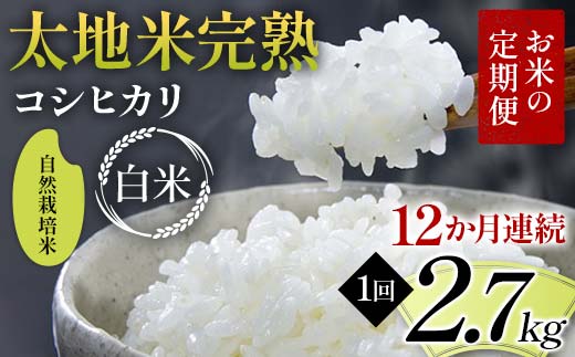 【先行予約】お米の定期便 自然栽培米 太地米完熟 【こし