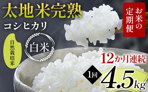 【先行予約】お米の定期便 自然栽培米 太地米完熟 【こし