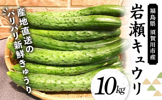 福島県須賀川市産 岩瀬キュウリ10kg 産地直送のパリパリ新