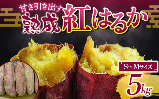 甘さ引き出す 熟成紅はるか 5kg さつまいもS～Mサイズ サツ