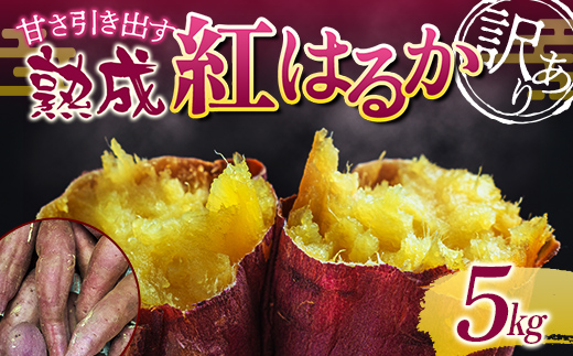 甘さ引き出す サイズ不揃い 熟成紅はるか 5kg さつまいも 訳