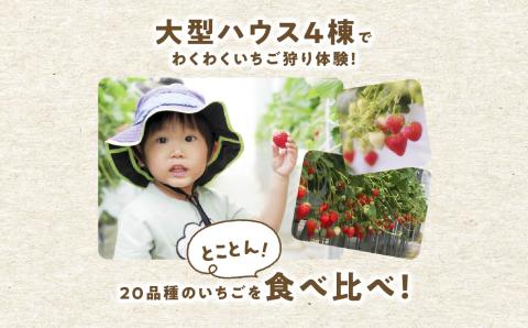 《2026年1月3日～5月23日開園》いちご狩り入場チケット【まるなかファーム株式会社】