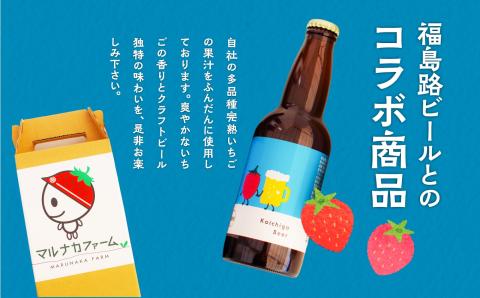 Koichigo Beer 330ml×6本セット【まるなかファーム】