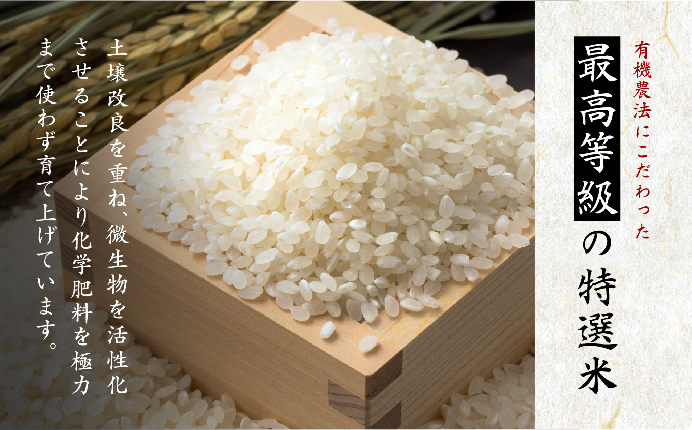 令和7年産 コシヒカリ 二本松十万石米 ～特選～ 精米300g×7袋【株式会社Y&Tカンパニー】