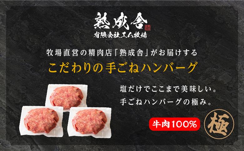 二本松熟成牛 塩で食べる！手ごねハンバーグ 3kg（150g×20袋）【有限会社エム牧場】