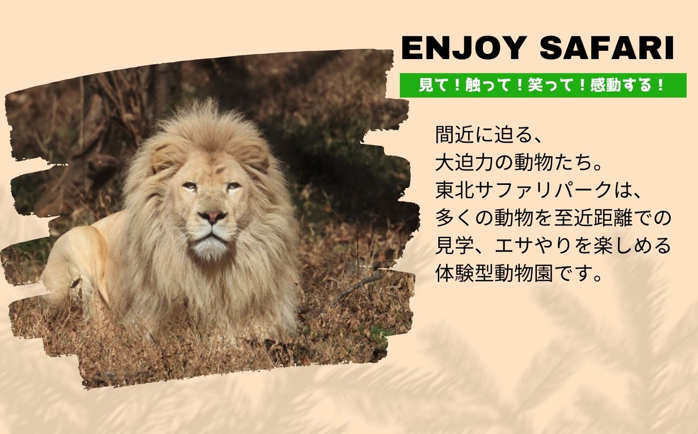 東北サファリパーク入園チケット 大人2名＋小人1名（ 入園チケット＋草食動物のエサ）【東北サファリパーク】