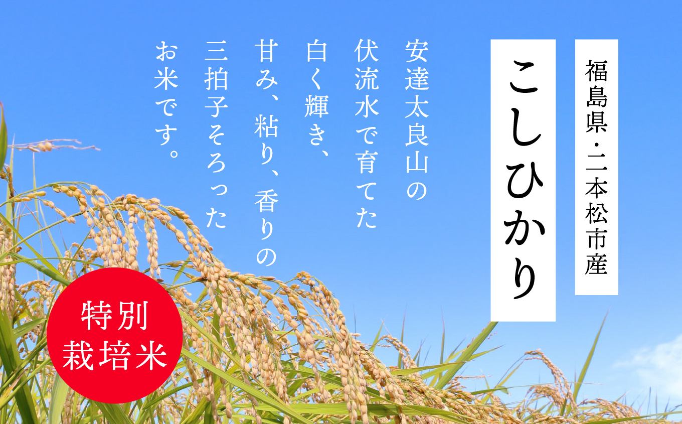 令和7年産 こしひかり10kg【株式会社あだたら米】