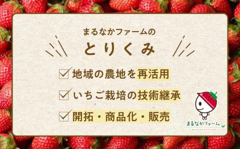 まるなかファーム×人気酒造　Koichigoリキュール 300ml×1本 【まるなかファーム】