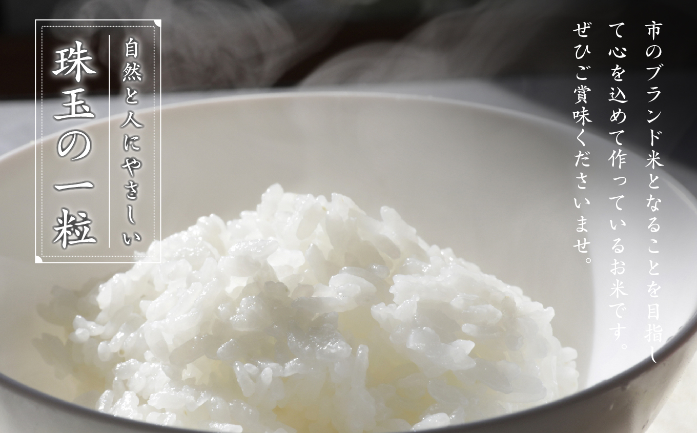 令和7年産 コシヒカリ 二本松十万石米 ～特選～ 精米300g×7袋【株式会社Y&Tカンパニー】