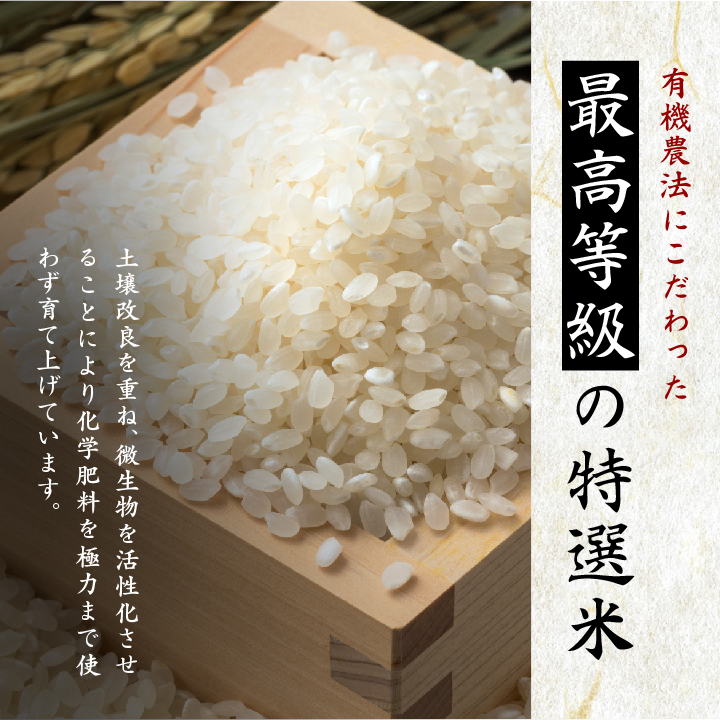 令和7年産 コシヒカリ 二本松十万石米 精米5kg【株式会社Y&Tカンパニー】