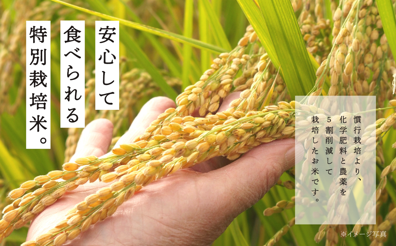 【定期便3ヶ月】コシヒカリ あだちのめぐみ 5kg×2袋 特別栽培米【JAふくしま未来 こらんしょ市】