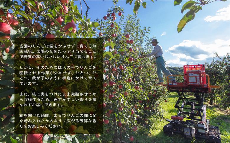 《2026年2月以降順次発送》羽山りんごジュース 無添加 1000ml 6本セット【斎藤りんご園】