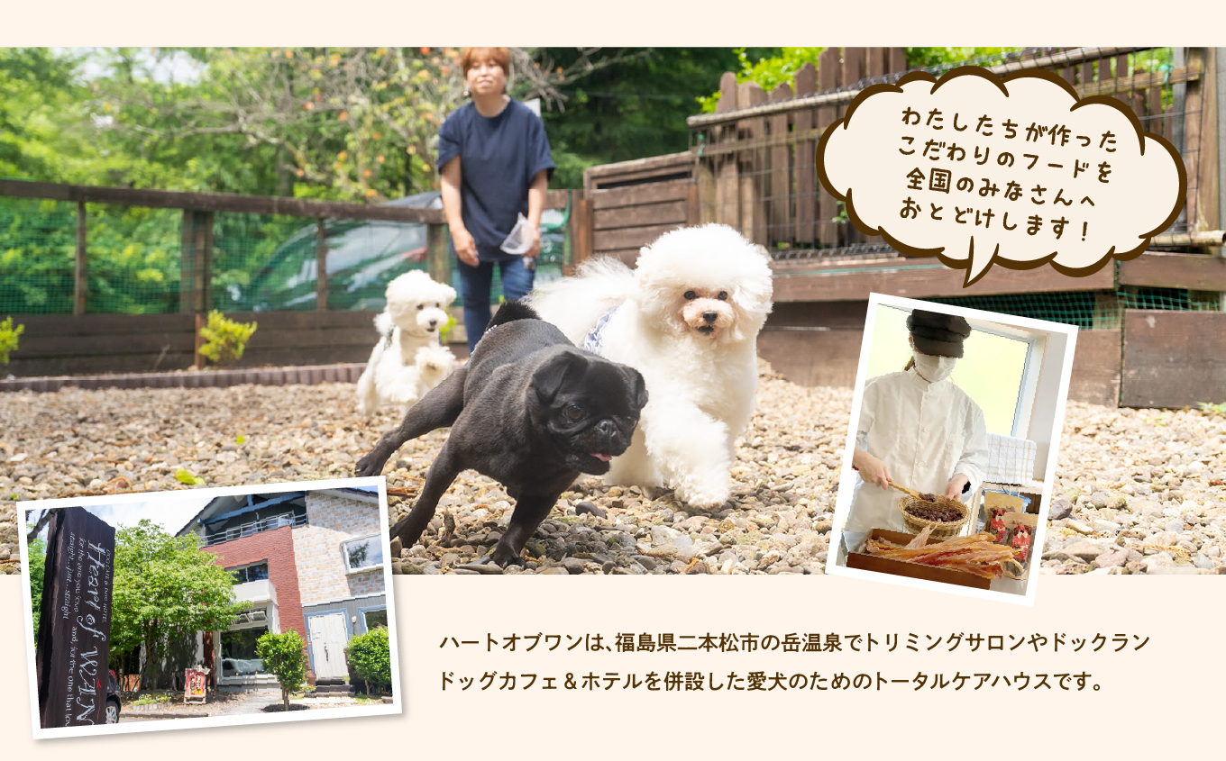 【6ヶ月定期便】ペットのためのドライ馬肉ごはん 計12袋【ハートオブワン】