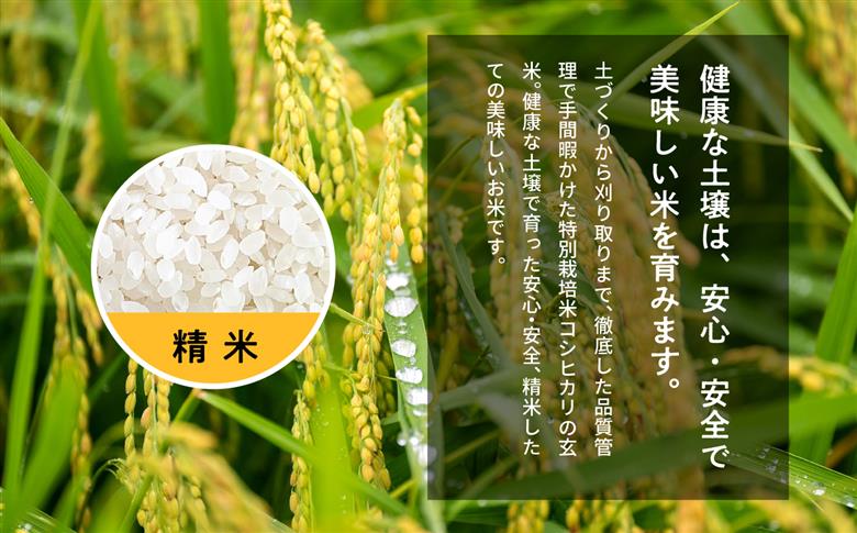 令和7年産 コシヒカリ精米10kg（5kg×2袋）完熟菊姫米【ADATARAふぁーむ】