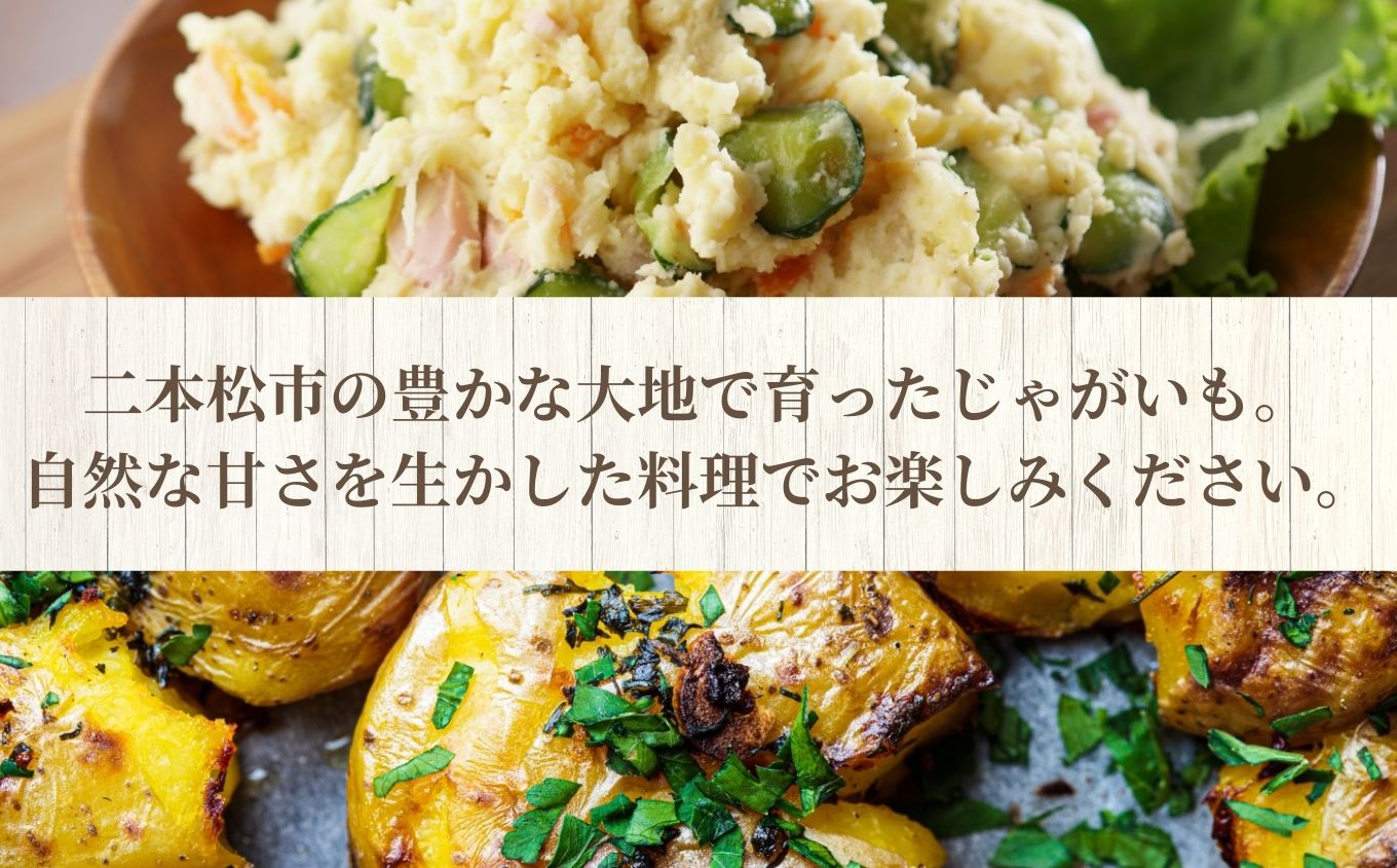 《2026年7月以降順次発送》じゃがいも5kg【一般社団法人二本松有機農業研究会】