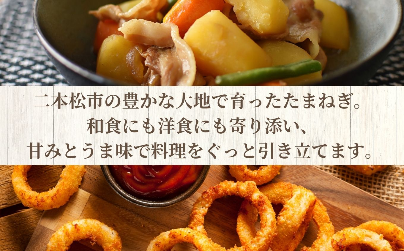 《2026年7月以降順次発送》たまねぎ5kg【一般社団法人二本松有機農業研究会】