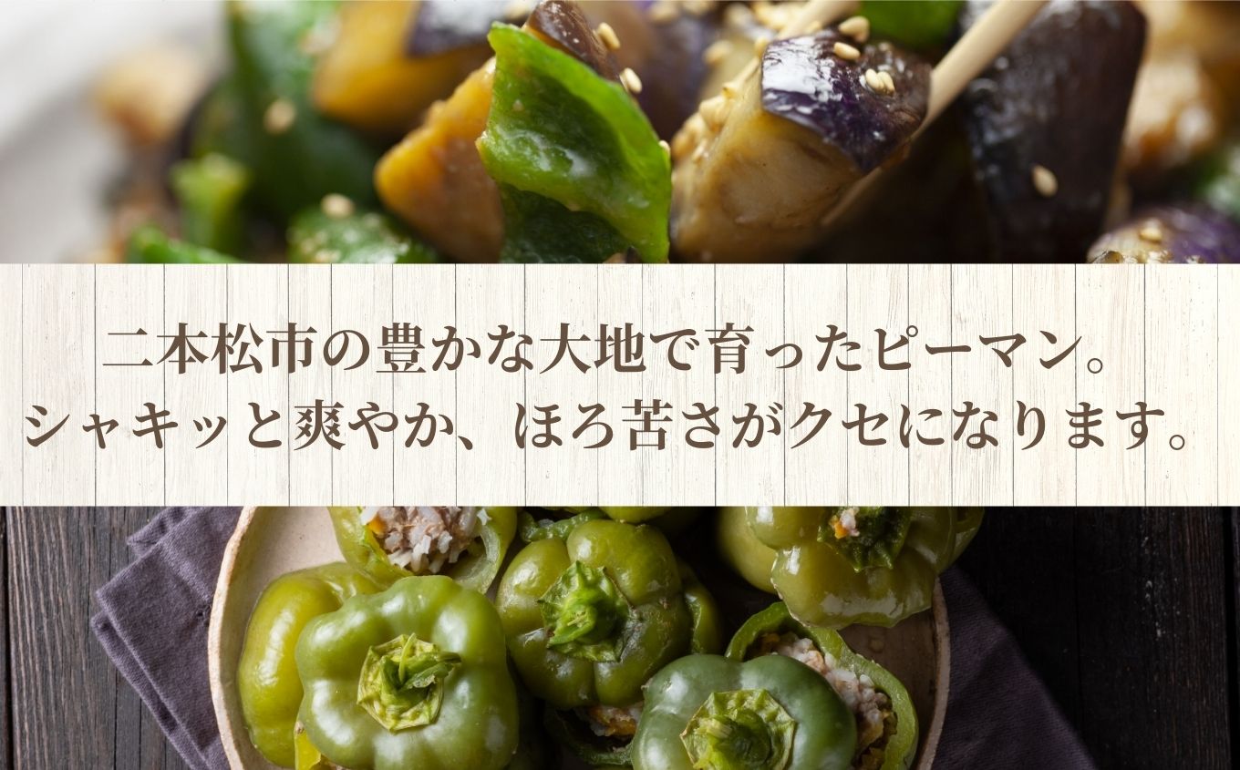 《2026年8月以降順次発送》ピーマン1kg【一般社団法人二本松有機農業研究会】