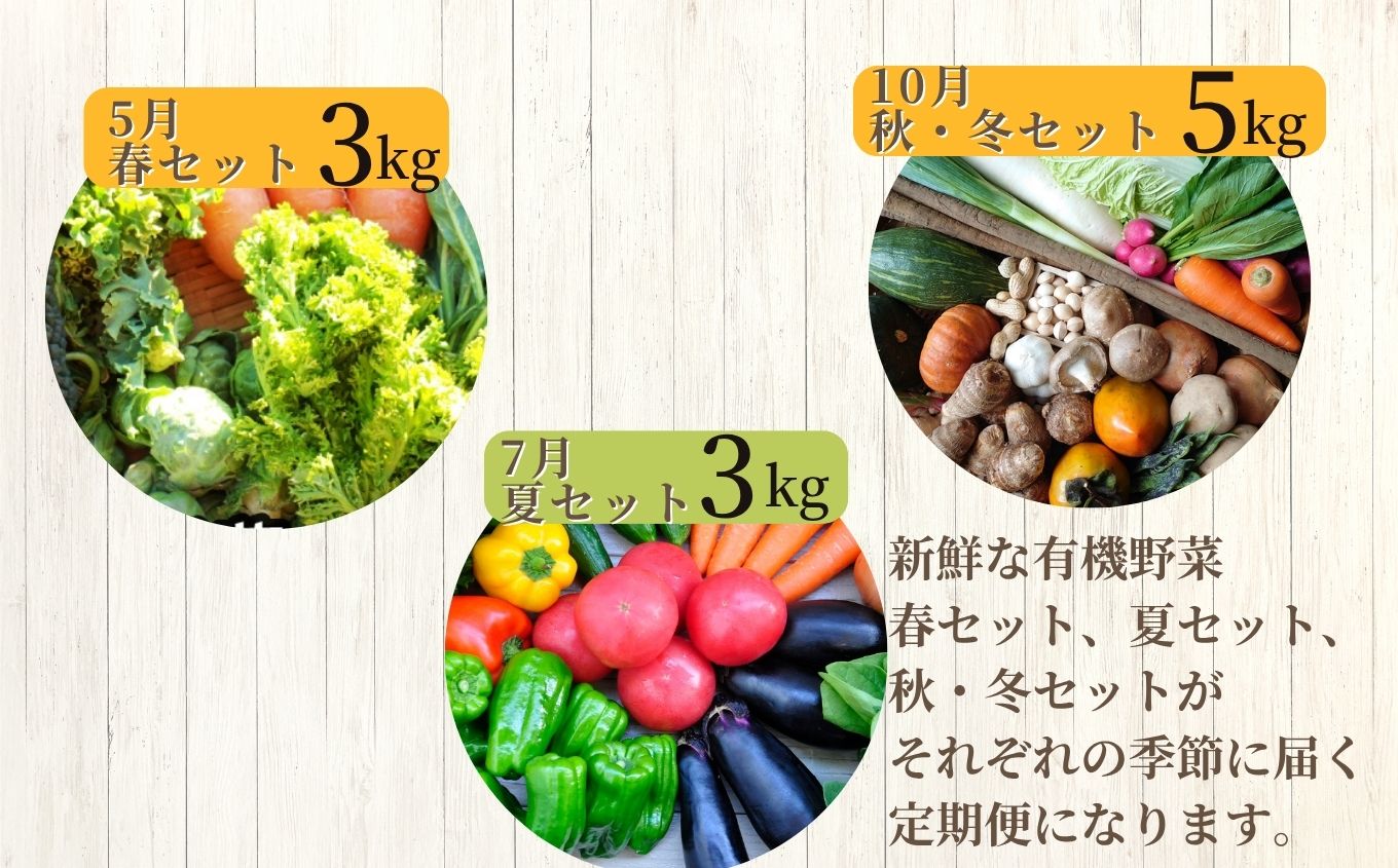 【定期便】全3回！季節の有機野菜セット【一般社団法人二本松有機農業研究会】