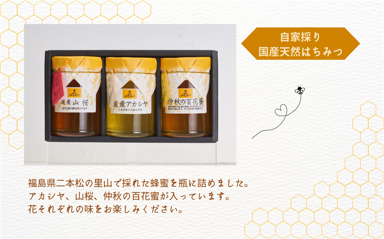 自家採り国産天然はちみつ 3本セット(220g×3)【株式会社渡辺養蜂場】