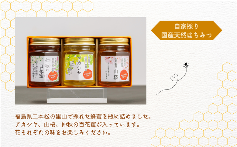 自家採り国産天然はちみつ 3本セット(140g×3)【株式会社渡辺養蜂場】