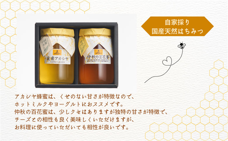 自家採り国産天然はちみつ 2本セット(460g×2)【株式会社渡辺養蜂場】