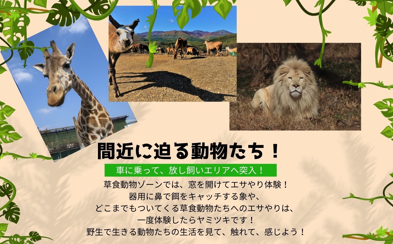 東北サファリパーク入園チケット 大人2名＋小人2名（ 入園チケット＋草食動物のエサ）【東北サファリパーク】