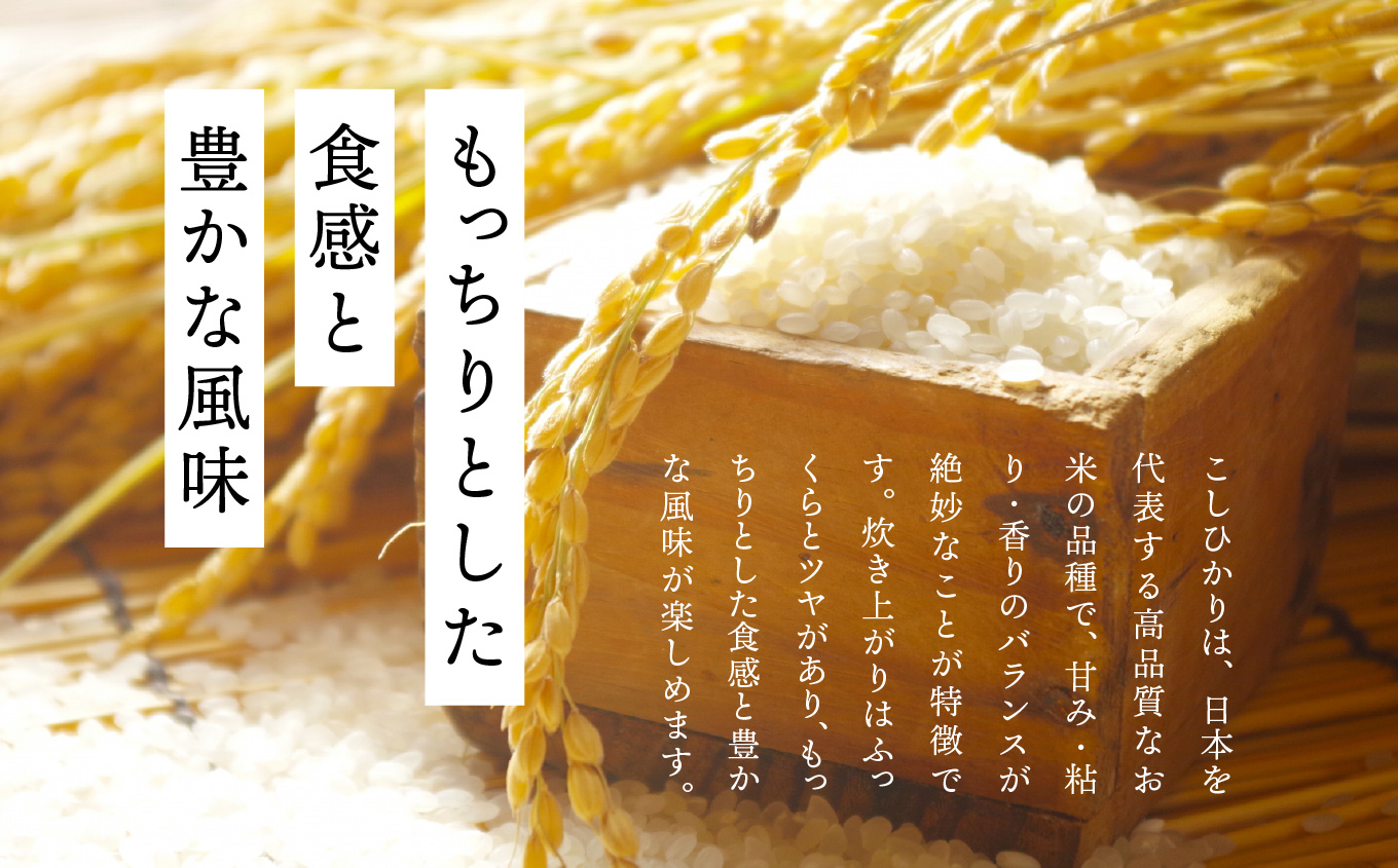 令和7年産 こしひかり10kg【株式会社あだたら米】