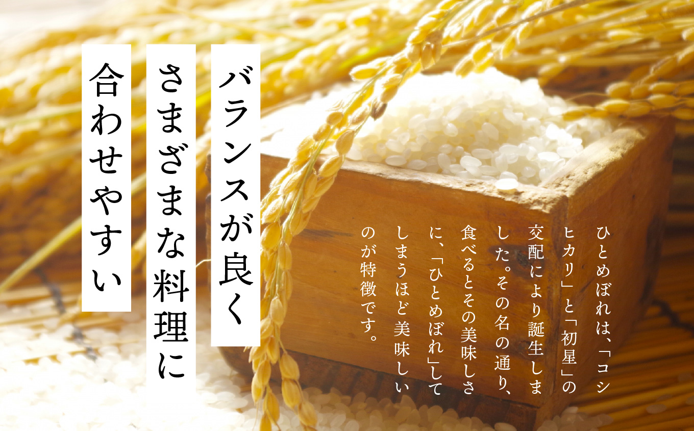 令和7年産 ひとめぼれ5kg【株式会社あだたら米】