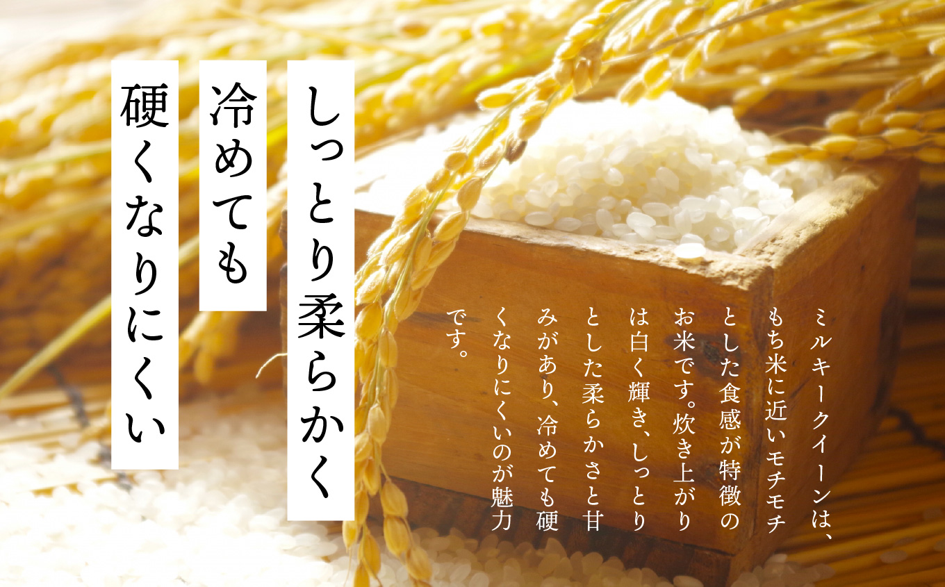 令和7年産 ミルキークイーン5kg【株式会社あだたら米】