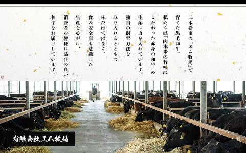 福島県二本松市産 黒毛和牛 うすぎり しゃぶしゃぶ用 3kg(500g×6パック)【株式会社コーシン】