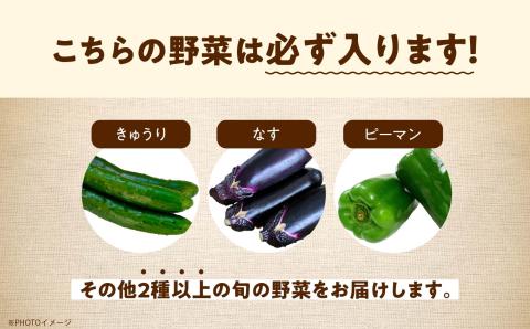 《2026年7月より順次発送》季節の有機野菜「夏セット」【一般社団法人二本松有機農業研究会】