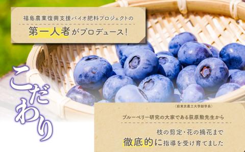 《2025年7月以降順次発送》東京農工大学名誉教授「横山　正」ブランドのブルーベリー冷凍果実250g（2パック）セット（品種おまかせ）【東和ブルーベリー研究農園】