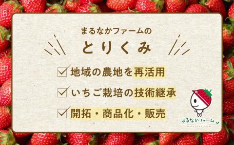 《2026年1月3日～5月23日開園》いちご狩りペア入場チケット【まるなかファーム株式会社】