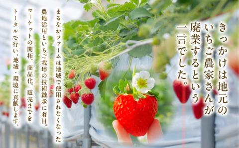 まるなかファーム×人気酒造　Koichigoリキュール 300ml×1本 【まるなかファーム】