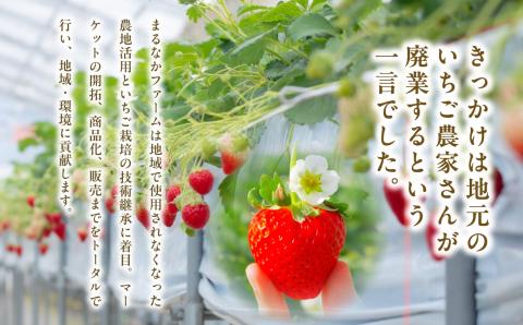 《2026年3月以降順次発送》粒揃い贈答用いちご1箱【まるなかファーム株式会社】