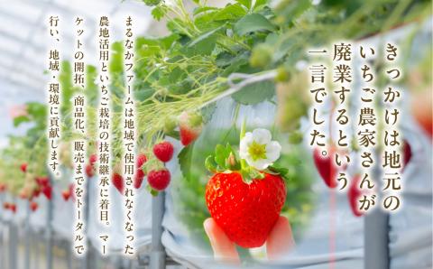 Koichigo Beer 330ml×6本セット【まるなかファーム】