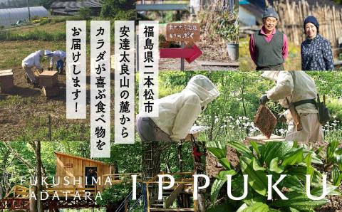 はちみつ（あだたら山のめぐみ） 百花蜜 500g【あだたら高原いっぷく】