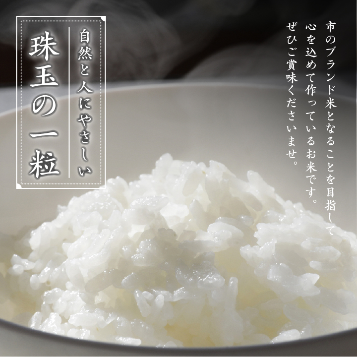 令和7年産 コシヒカリ 二本松十万石米 精米5kg【株式会社Y&Tカンパニー】