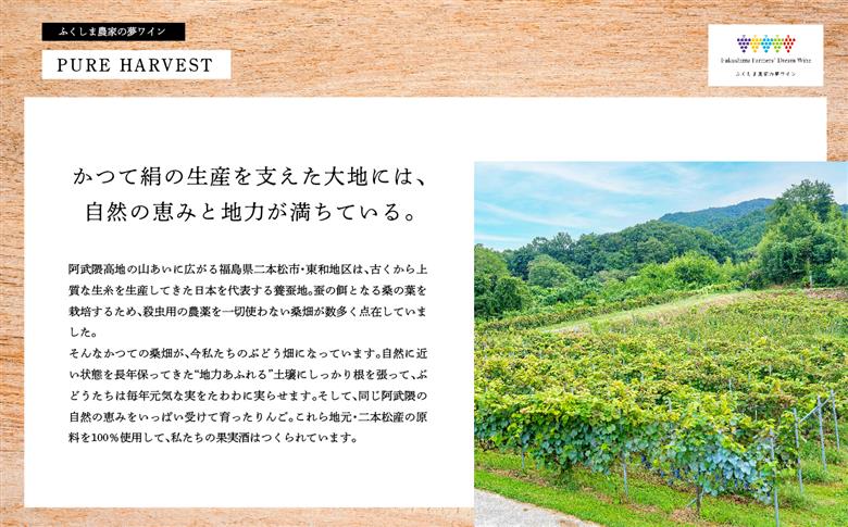 ＼年内発送可能！／シードルセット（ふじりんご／つがるりんご）【ふくしま農家の夢ワイン株式会社】