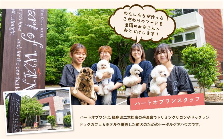 愛犬ごはん （馬肉）　6食セット【ハートオブワン】