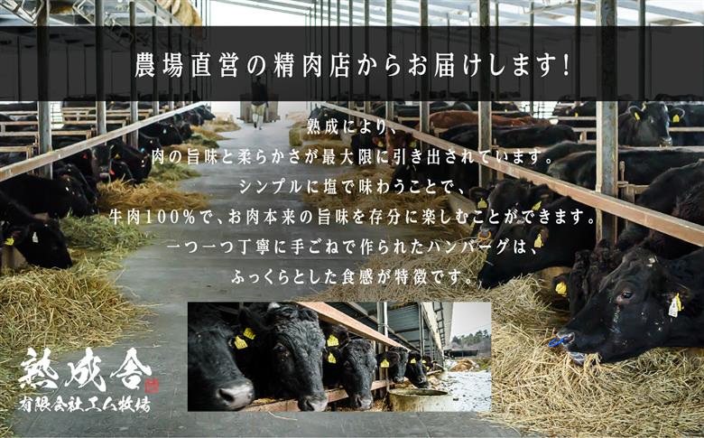 ＼年内発送可能！／二本松熟成牛 塩で食べる！手ごねハンバーグ 1.5kg（150g×10袋）【有限会社エム牧場】