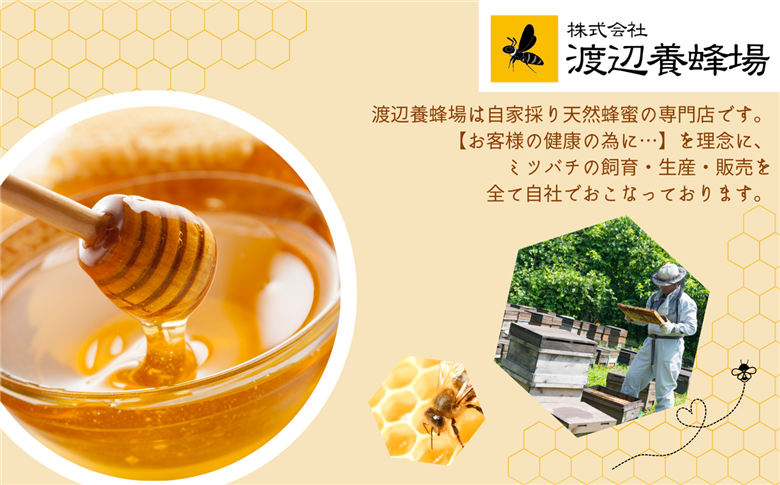 自家採り国産天然はちみつ 3本セット(220g×3)【株式会社渡辺養蜂場】