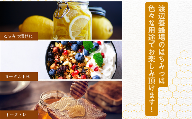 自家採り国産天然はちみつ 3本セット(140g×3)【株式会社渡辺養蜂場】