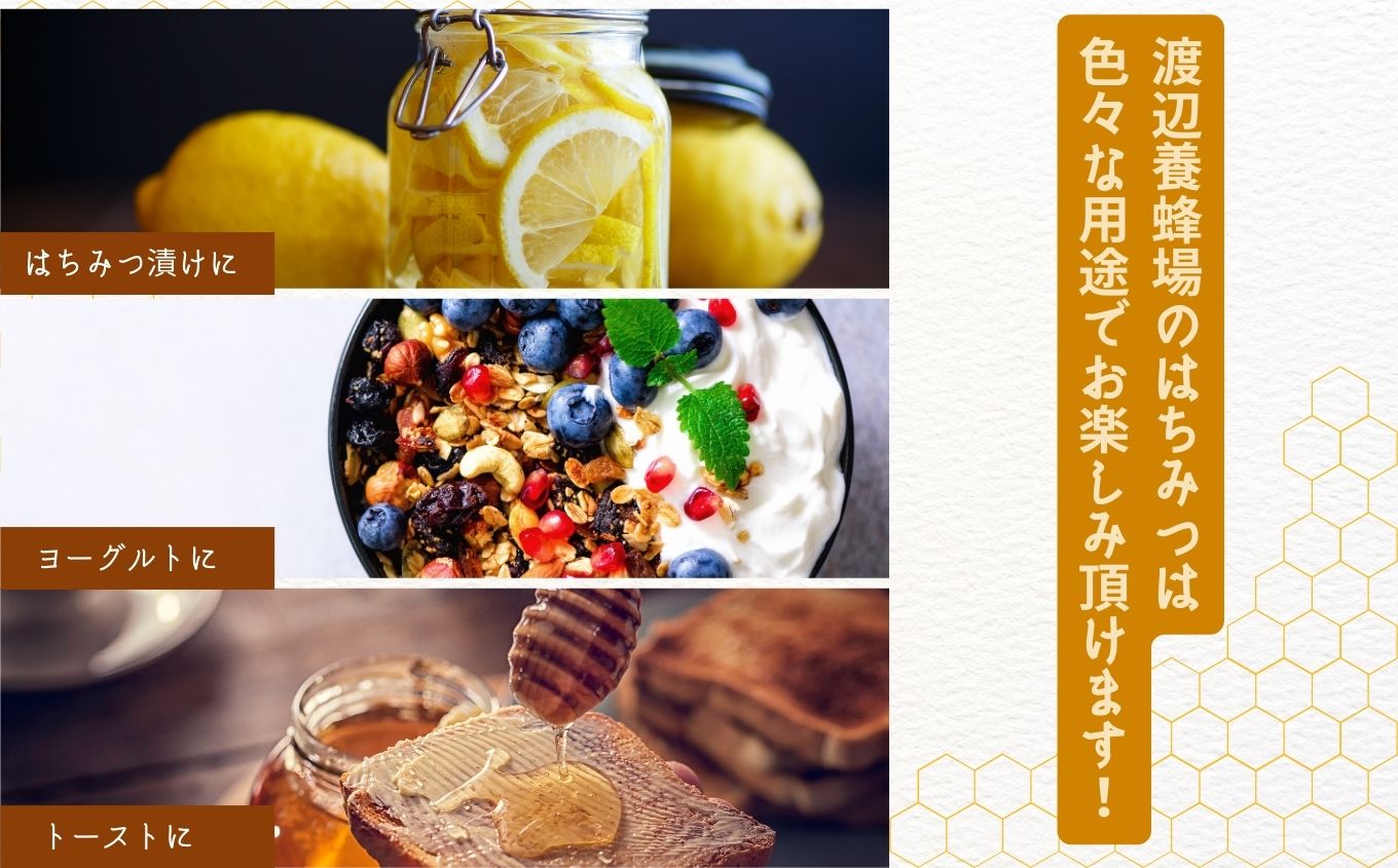 自家採り国産天然はちみつ アカシヤ スタンドボトル 500g【株式会社渡辺養蜂場】