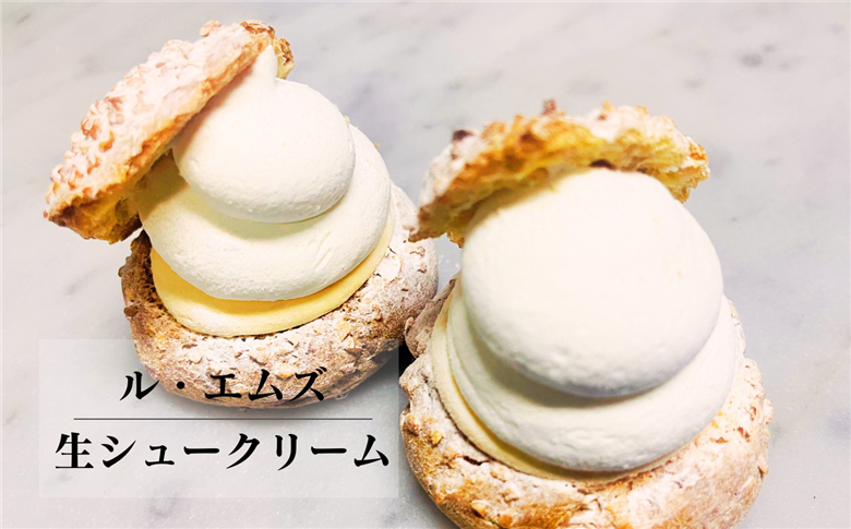 《2026年1月以降順次発送》カスタード×生クリーム！2層の生シュークリーム10個入り【ル・エムズ】